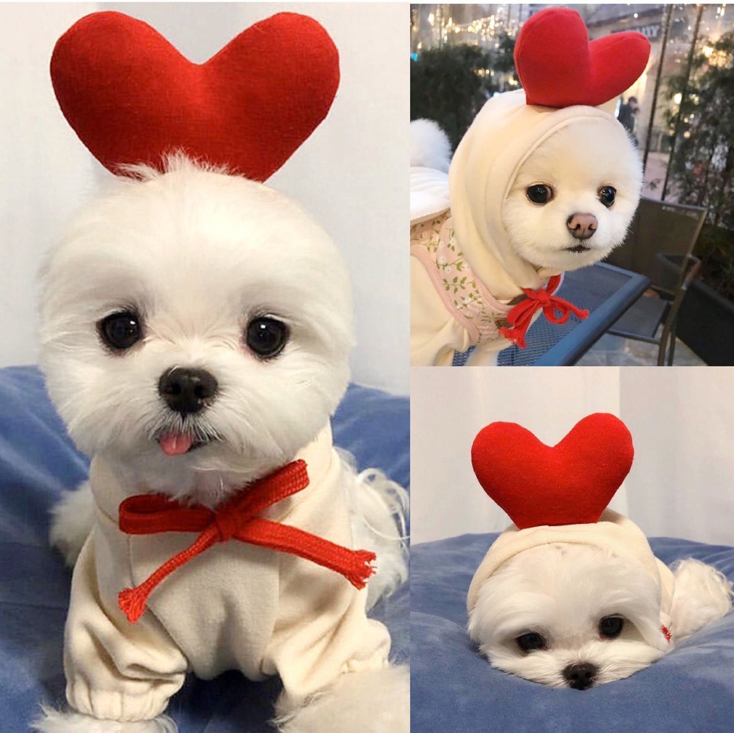 Fruity Fleece Pet Hoodie